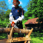 Motofierastrau electric Stihl MSE 190 C-BQ lama 30cm